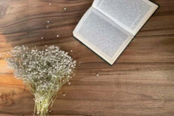 European Walnut Dining Room Table Top LiVe Edge UV Lacquered (with Resin) 35mm By 840mm By 1520mm -Wood Sales Store walnutwithresin 3 5